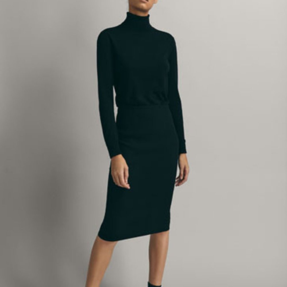 NWT Massimo Dutti Pencil Skirt (Size EU 36, US 4)